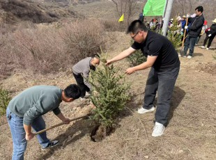 州農(nóng)投公司參加2025年春季義務(wù)植樹(shù)活動(dòng)